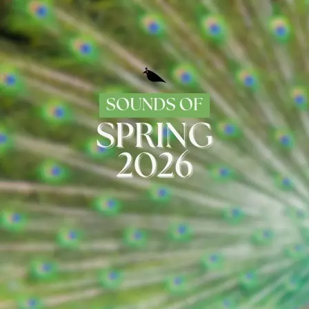 sounds-of-spring-2026.jpg