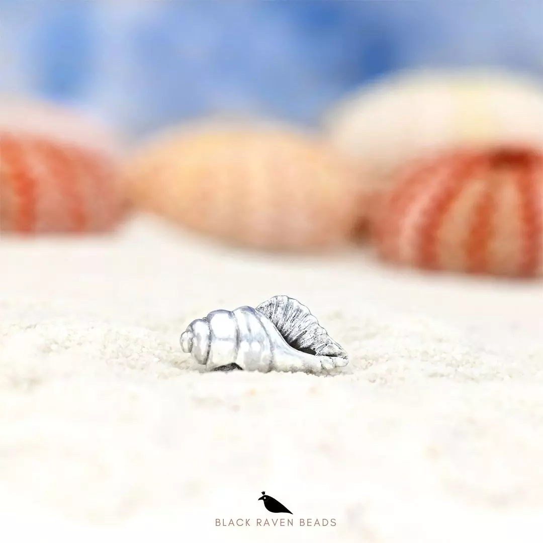 Conch shell Charm Bead