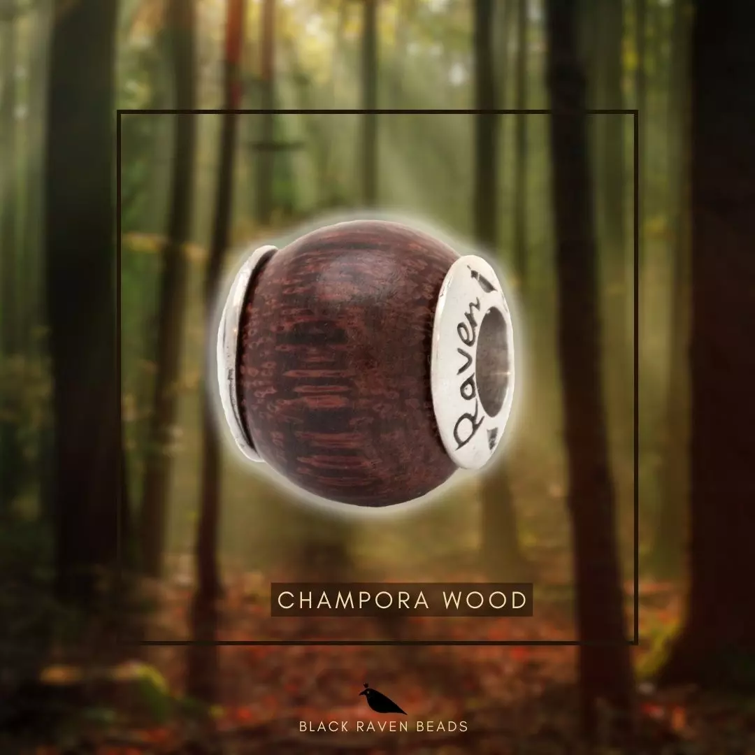 Camphora Wood