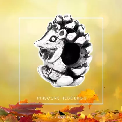 Pinecone Hedgehog