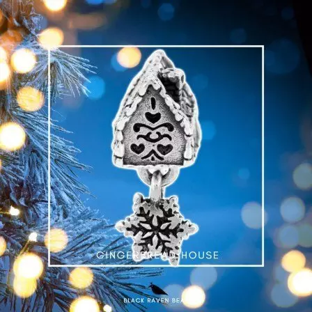 Gingerbread House and Snowflake