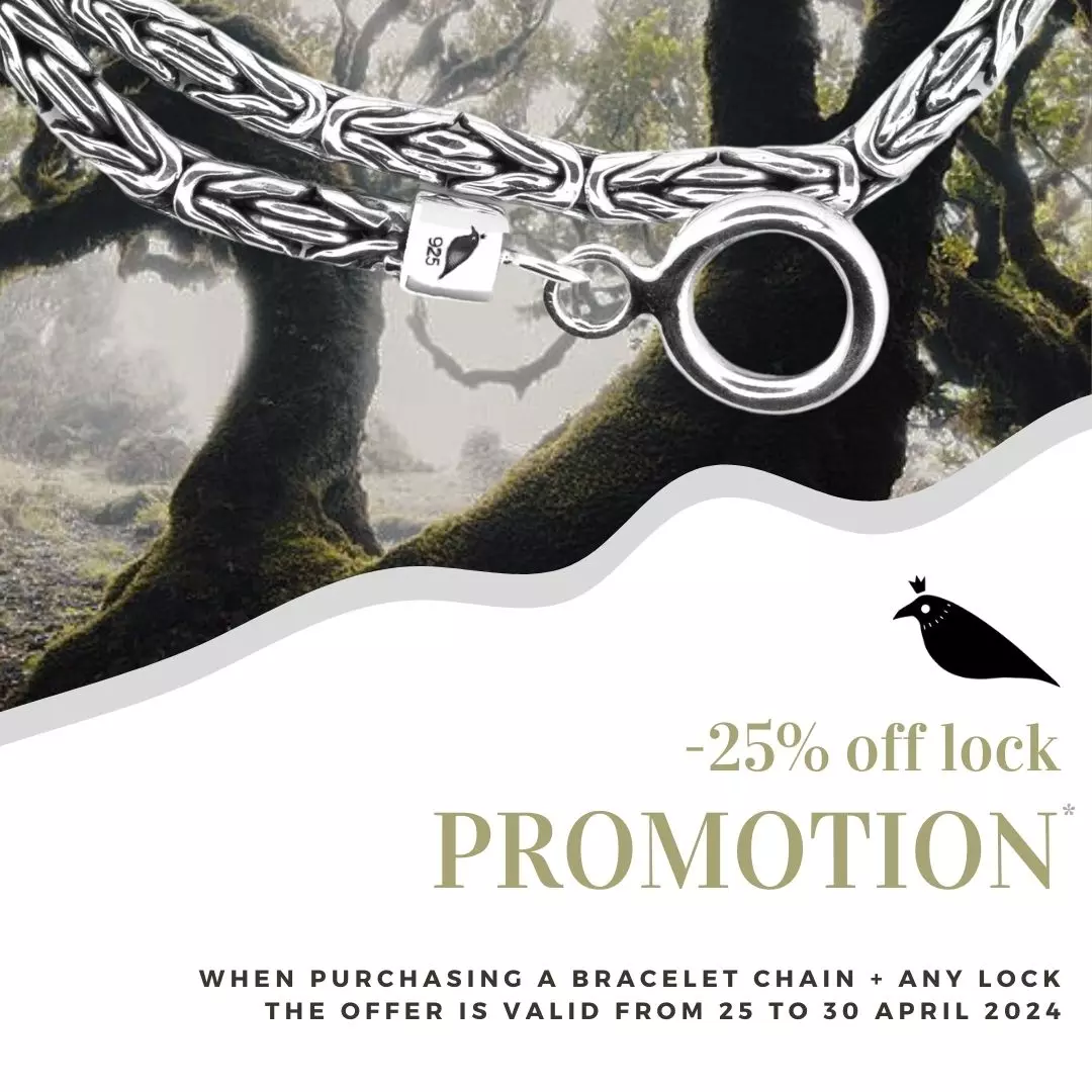 -25% off lock when purchasing together with a bracelet chain