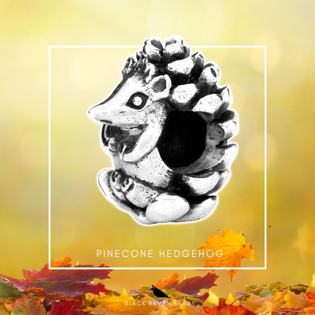 Pinecone Hedgehog