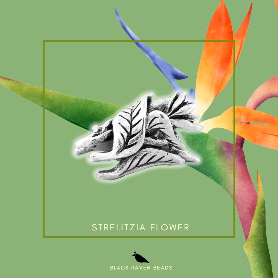 Strelitzia flower