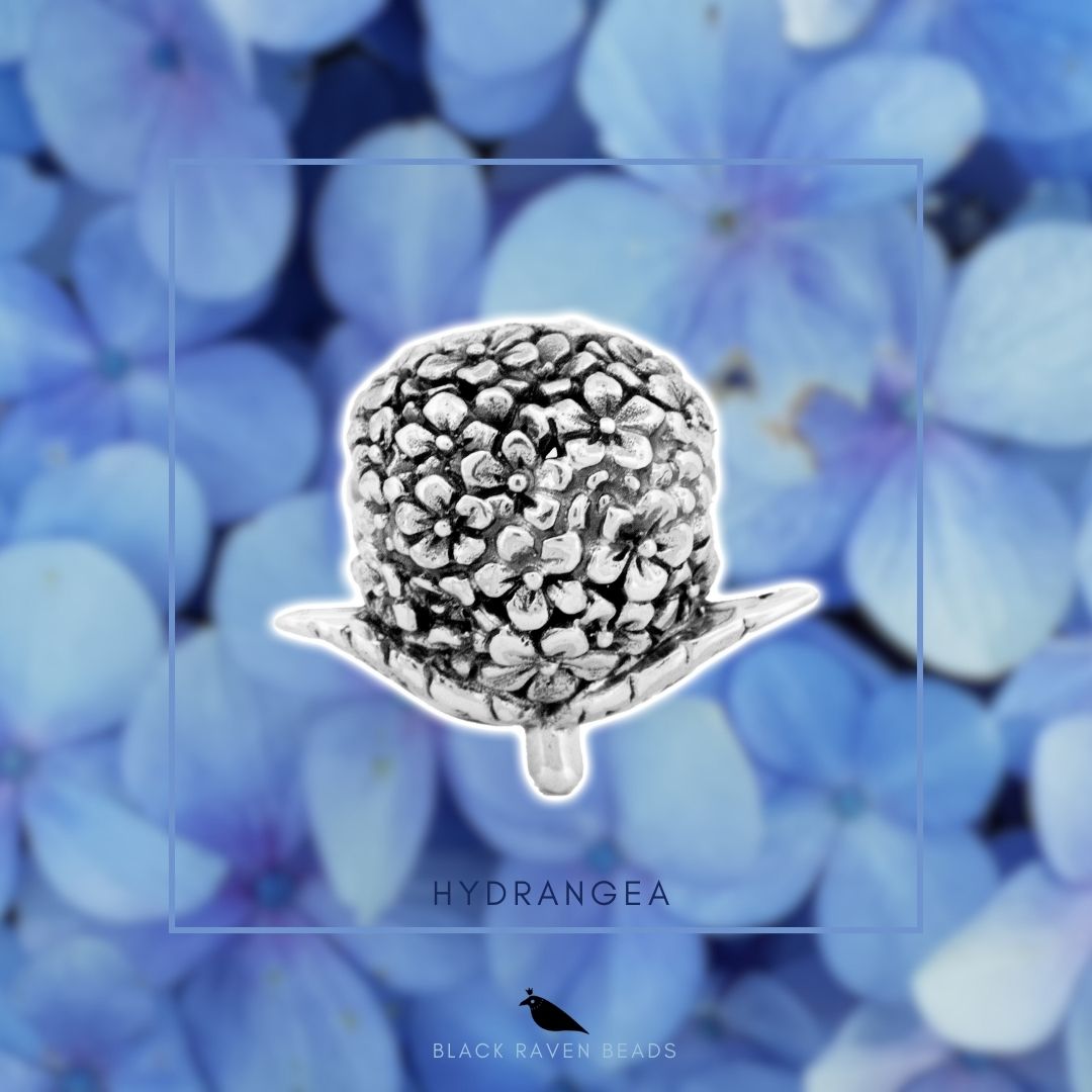 Hydrangea silver bead